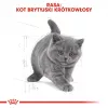Sausā kaķu barība Royal Canin British Shorthair Kitten 2 kg – vista, 38% olbaltumvielu, 20% tauku, augšanas formula