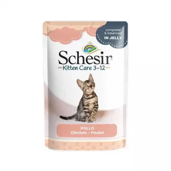 SCHESIR vistas filejas želejā - mitrā barība kaķēniem - 85g