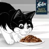 FELIX Tasty Shreds ar liellopu un vistu - 4x 80g
