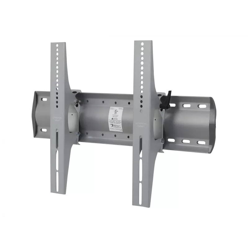 TV stiprinājums Ergotron 61-143-003 Sudraba