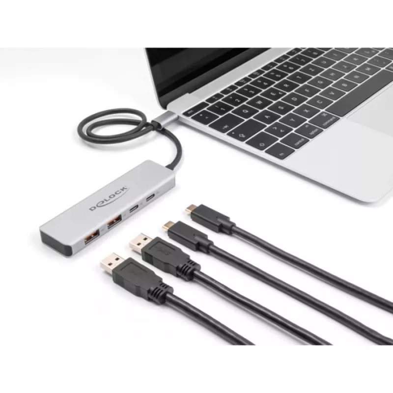 DeLOCK USB centrmezgls USB Type-C 10 Gbps 2x Type-A 2x Type-C 35 cm kabelis