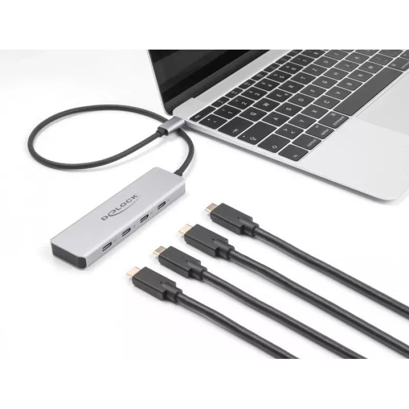 DeLOCK USB Type-C centrmezgls 10 Gbps 4 porti alumīnija pelēks