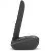 Analogais/DECT telefons Gigaset C575A