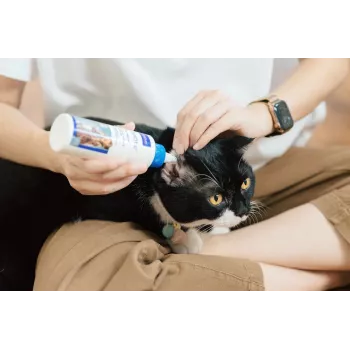 Ausu kopšanas šķīdums VIRBAC EPI-OTIC 125 ml – veterinārais ausu tīrītājs suņiem un kaķiem