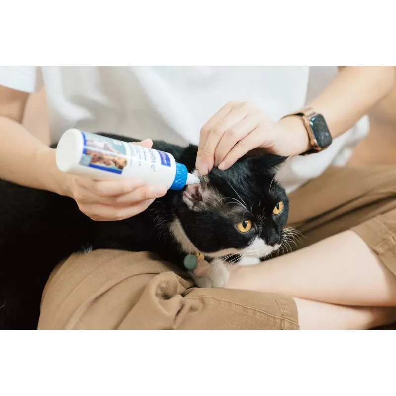 Ausu kopšanas šķīdums VIRBAC EPI-OTIC 125 ml – veterinārais ausu tīrītājs suņiem un kaķiem