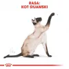 Sausā kaķu barība Royal Canin Siamese 2 kg — Pieaugušiem, Putnu gaļa, Olbaltumvielas 38%, Tauki 16%