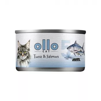 Ollo Tuncis ar lasi buljonā Nr. 5 70g