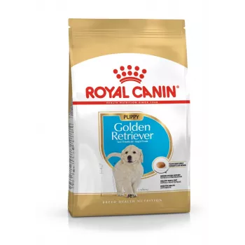 Sausā suņu barība Royal Canin Golden Retriever Junior 12 kg — mājputnu gaļa, 29% olbaltumvielu, 16% tauku