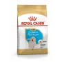Sausā suņu barība Royal Canin Golden Retriever Junior 12 kg — mājputnu gaļa, 29% olbaltumvielu, 16% tauku