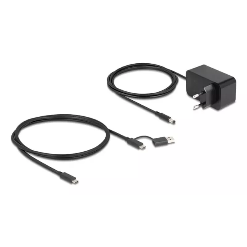 DeLOCK 64326 interfeisa centrmezgls USB 3.2 Gen 2 (3.1 Gen 2) Type-C 10000 Mbit/s Melns