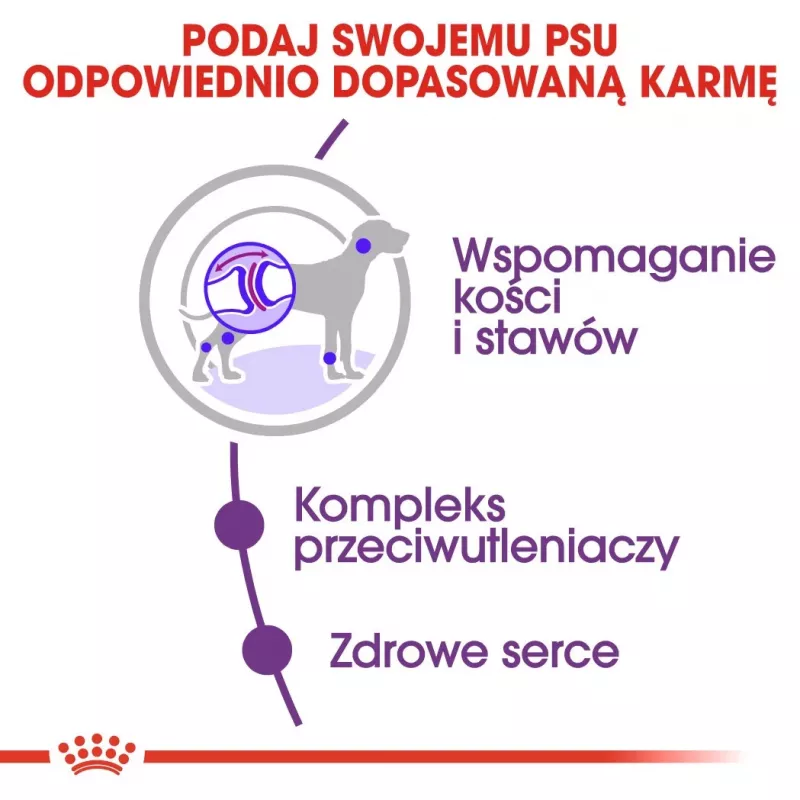 ROYAL CANIN Giant Adult - sausa suņu barība - 15 kg