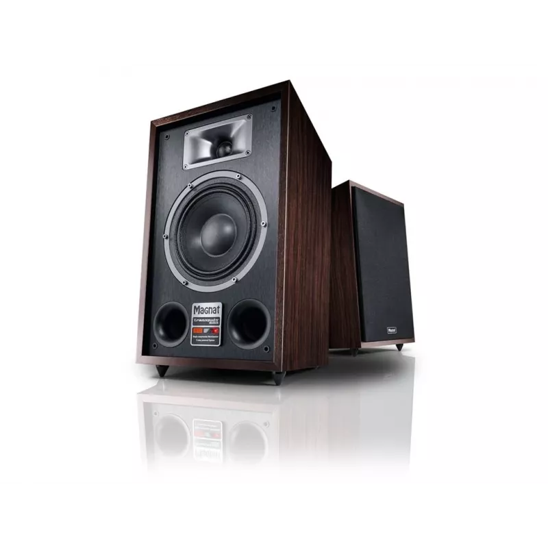 Grīdas kolonna Magnat TRANSPULS 800A 2-ceļu vadu un bezvadu 2×60 W, Bluetooth 5.0, HDMI, melna/brūna
