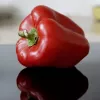 Sēklu paciņa Seklos LT Paprika Jolanta 0,5 g – saldo piparu sēklas audzēšanai