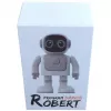 Bluetooth skaļrunis ALLNET Robert ar lietotnes vadību — modelis Robert