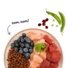BOSCH Sanabelle Adult Ostrich & Blueberries - sausā kaķu barība - 2kg