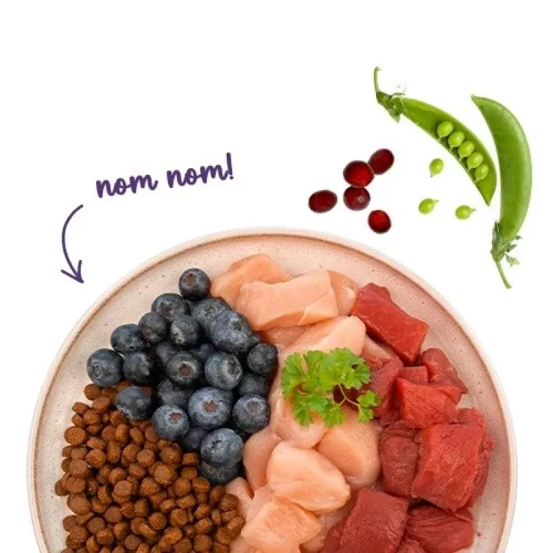 BOSCH Sanabelle Adult Ostrich & Blueberries - sausā kaķu barība - 2kg