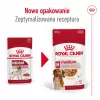 ROYAL CANIN SHN Medium Adult mērcē - mitrā barība pieaugušiem suņiem - 10x140g