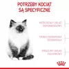Royal Canin Kitten sausā kaķu barība 2 kg — mājputnu (vistas) formula, olbaltumvielas 36%, tauki 18%
