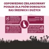 PUPIL Premium vidējām un lielām šķirnēm bagātināts ar liellopu gaļu - sausā suņu barība - 12kg