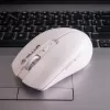 Tellur Silent Click Wireless pele Balts