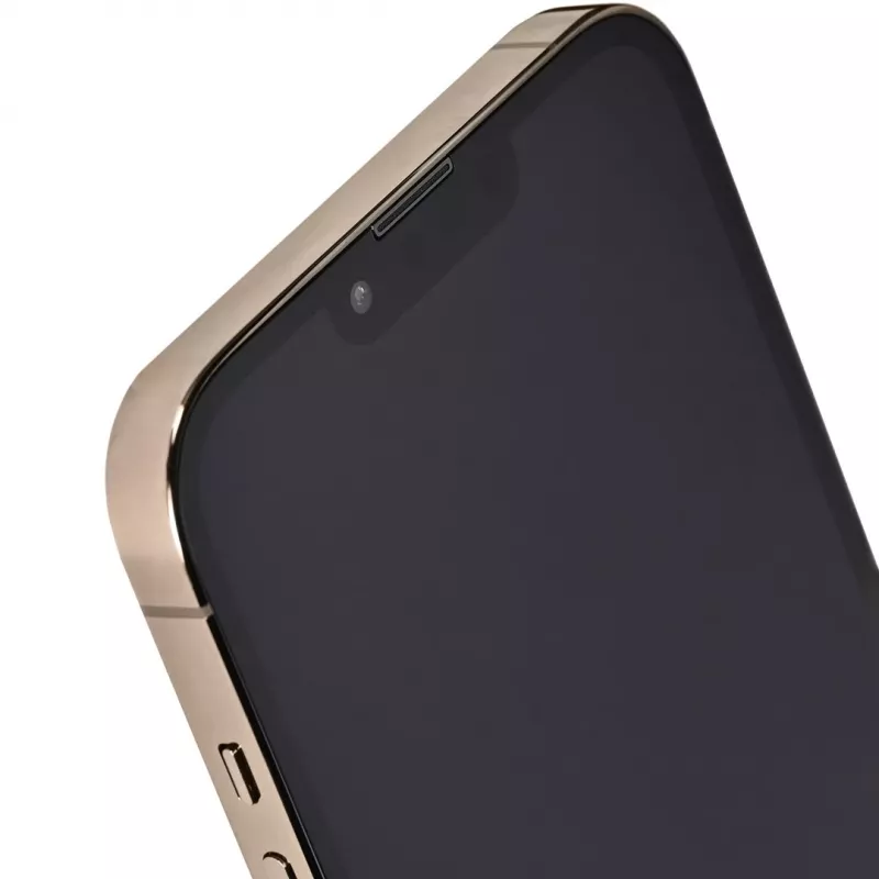 Apple iPhone 13 Pro Max 128 GB zelts (REMADE by 2Bnew) 2 gadu garantija, atjaunots