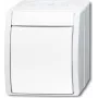 BUSCH-JAEGER starpslēdzis 2601/7W-54 okeāna Alpu balts IP44 svirslēdzis 2601/7W-54 (2601/7W-54)