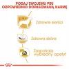 Royal Canin BHN West Highland Balts Terrier Adult - sausā barība pieaugušiem suņiem - 3kg