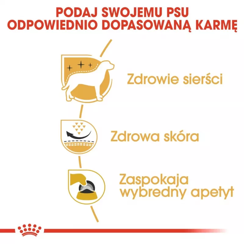 Royal Canin BHN West Highland Balts Terrier Adult - sausā barība pieaugušiem suņiem - 3kg