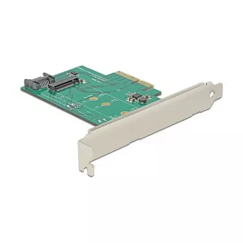 Saskarnes karte DeLOCK 89381 iekšējā M.2 SATA