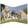 Gredzenu mape HERMA 7165 A4 D-veida gredzenu glabāšanai