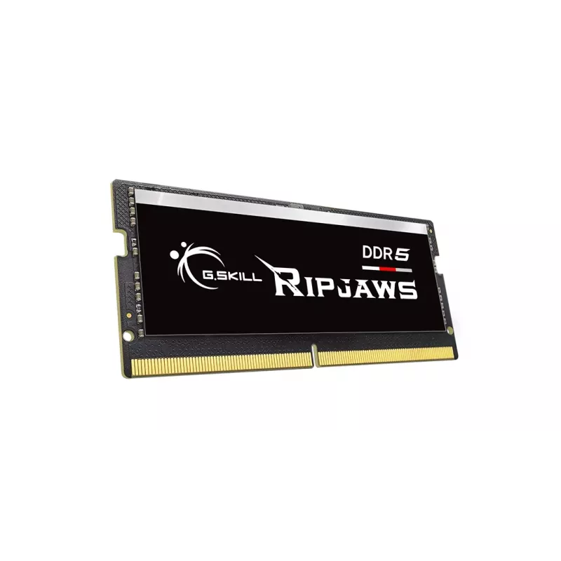 G.SKILL Ripjaws DDR5 SO-DIMM 16 GB (F5-5600S4040A16GX1-RS)