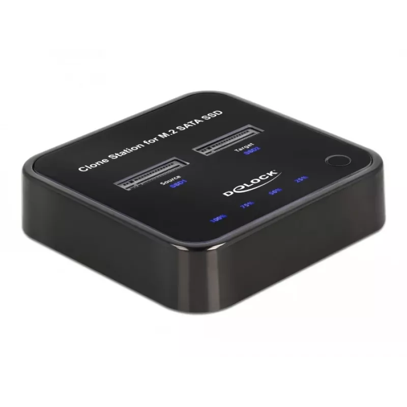 DeLOCK 64178 dokstacija USB 3.2 Gen 2 Type-C SSD M.2