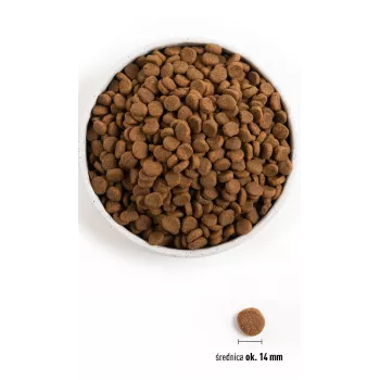 ORIJEN Oriģināls Dog - sausā suņu barība - 11,4kg
