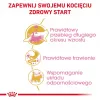 ROYAL CANIN Maine Coon Kitten - sausā kaķu barība - 4 kg