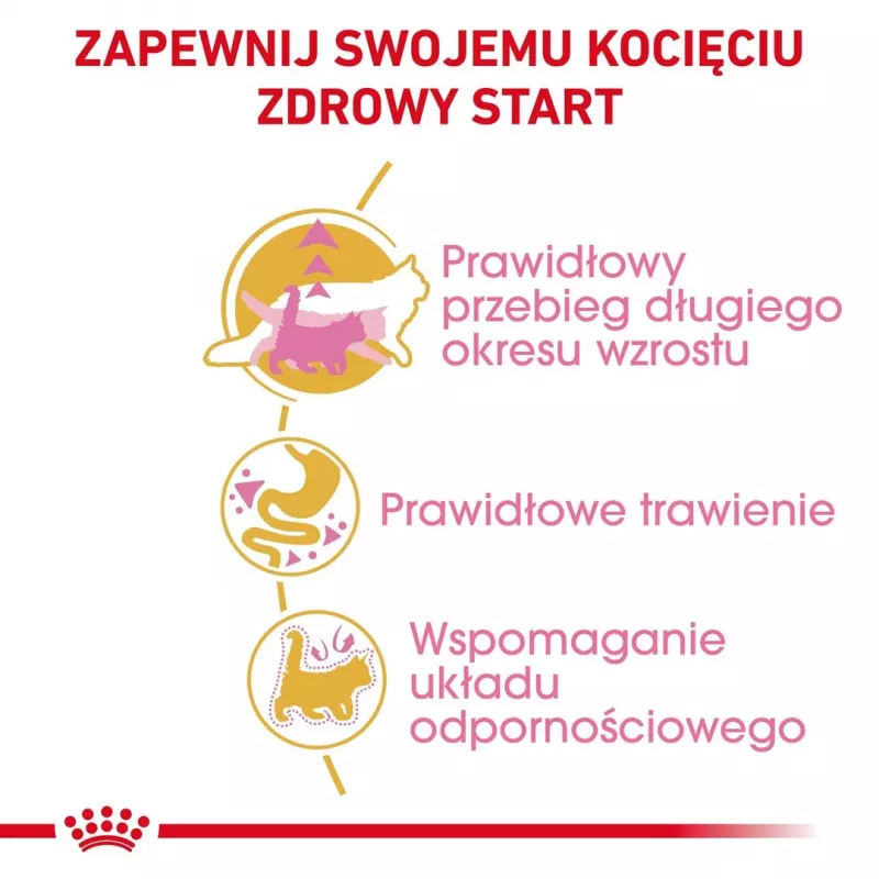 ROYAL CANIN Maine Coon Kitten - sausā kaķu barība - 4 kg