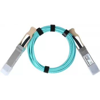 BlueOptics AA1404028-E6-BO InfiniBand kabelis 10 m QSFP oranžs (AA1404028-E6-BO)