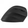 Ergonomiska labroku bezvadu pele, Dual WL+BT