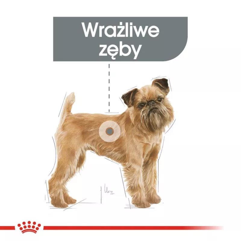 Sausā suņu barība Royal Canin Mini Dental Care 3 kg — pieaugušiem mazo šķirņu suņiem, mājputnu garša, zobu kopšana