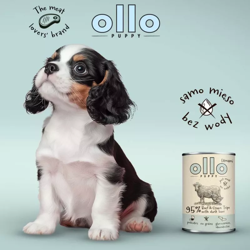 OLLO Puppy Umami Beef and Green Tripe with Duck Liver - mitrā suņu barība - 850 g