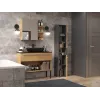 Topeshop NEL I ANT/ART vannas istabas glabāšanas skapis Grafīts, Ozols