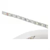 Synergy 21 LED Flex Strip 5050 - 60 RGB DC24V + RGB-W vienas mikroshēmas nw IP68