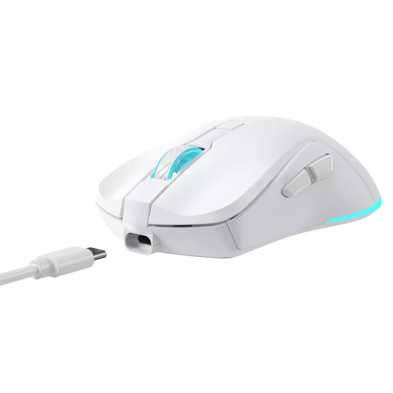Baracuda BGM-122 Turtle balta TURTLE-W pele
