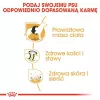 Royal Canin BHN Labrador Adult sausā suņu barība, 12 kg