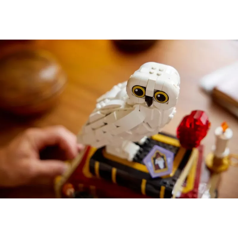 LEGO HARRY POTTER 76466 Filozofu akmens - Kolekcionāra izdevums