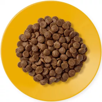 APPLAWS Adult Chicken - sausā barība kaķiem - 400g
