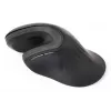 Gembird MUSW-ERGO-03 pele Mājas Labās rokas RF bezvadu Optiskā 1600 DPI
