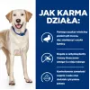 HILL'S PD D/D Food Sensitivities, pīle un rīsi - sausa suņu barība - 4kg