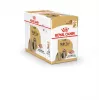 ROYAL CANIN Shih Tzu Adult mitrā suņu barība Pâté 12x85 g
