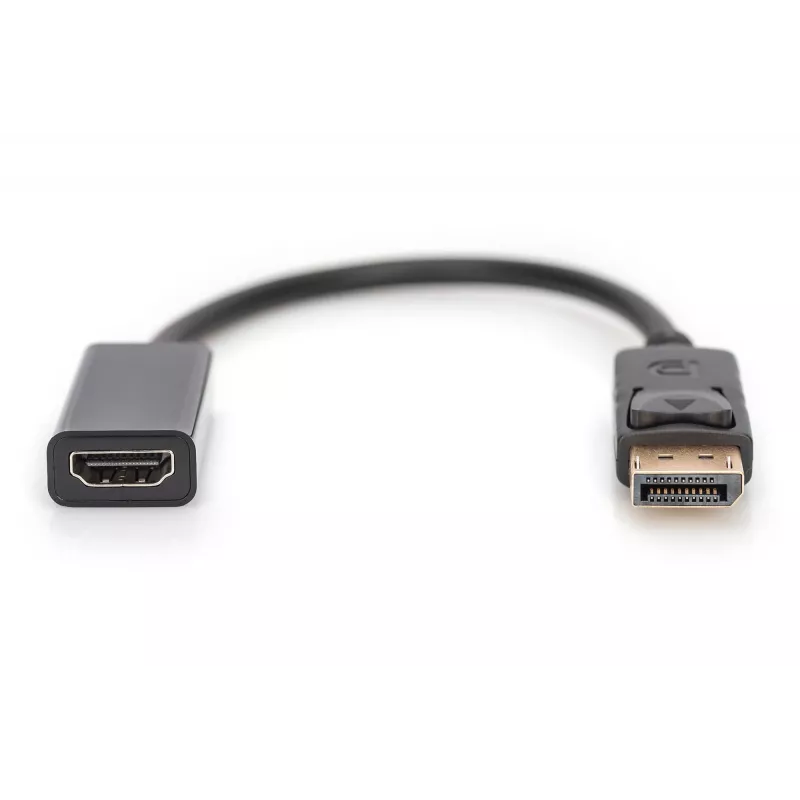 Digitus DisplayPort adapteris / pārveidotājs