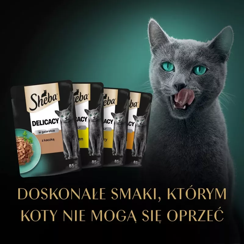 Mitrā kaķu barība Sheba vistas, pīles, tītara 85 g paciņa (80 × 85 g) pieaugušiem kaķiem, mitrums 86%